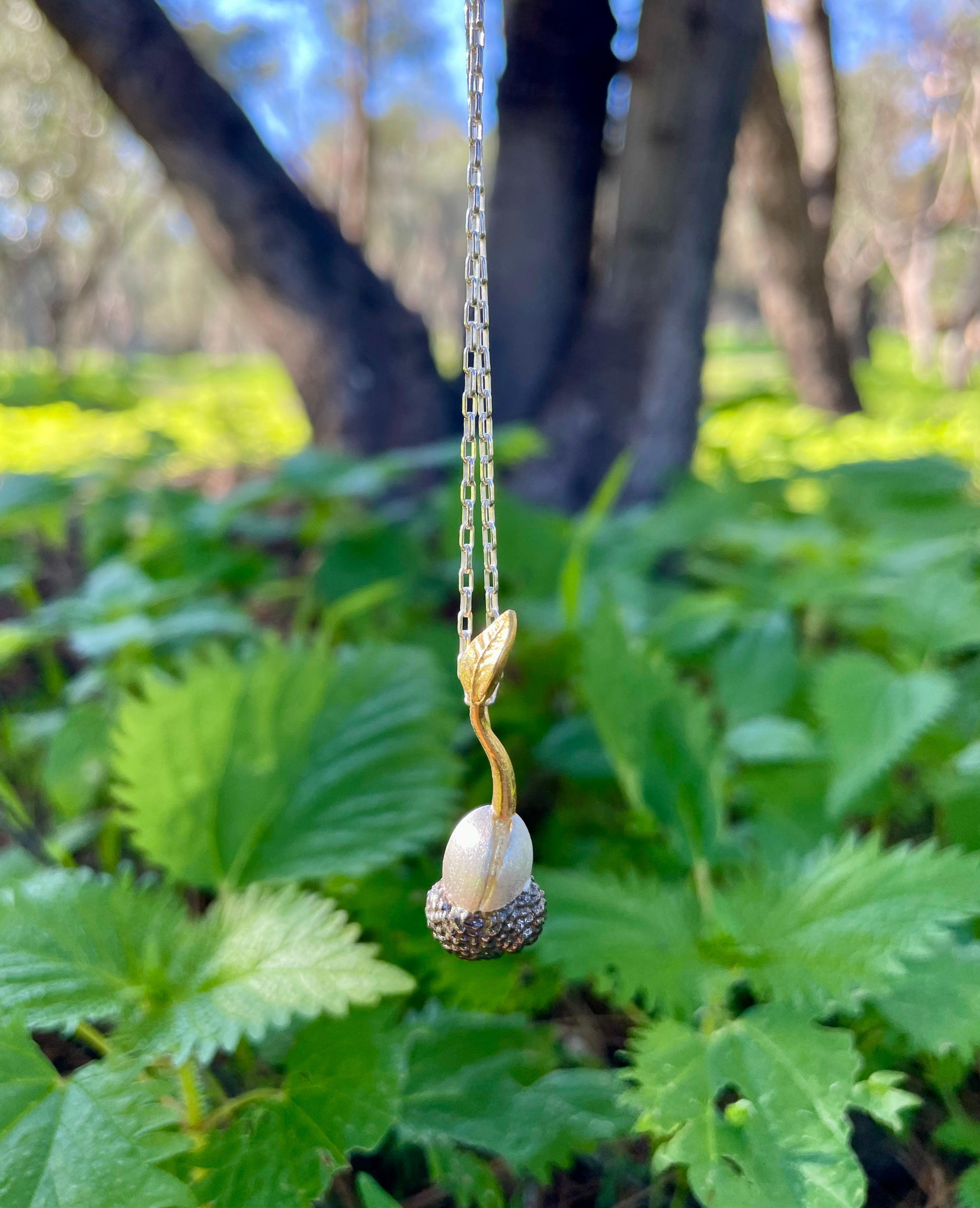 Lucky charm 2026-The Seed